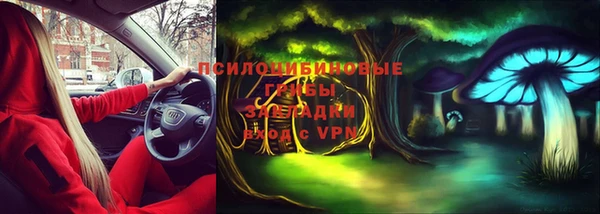 МДПВ Богородицк