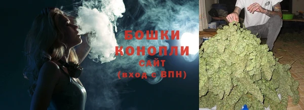 МДПВ Богородицк
