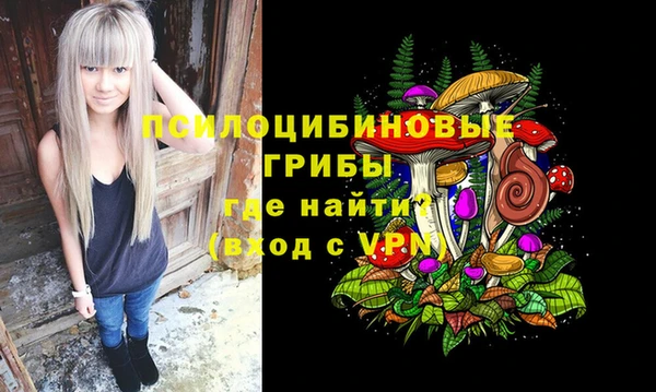МДПВ Богородицк