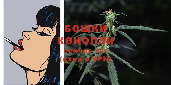 МДПВ Богородицк