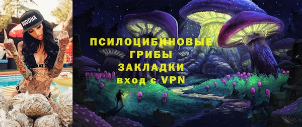 мескалин Богданович